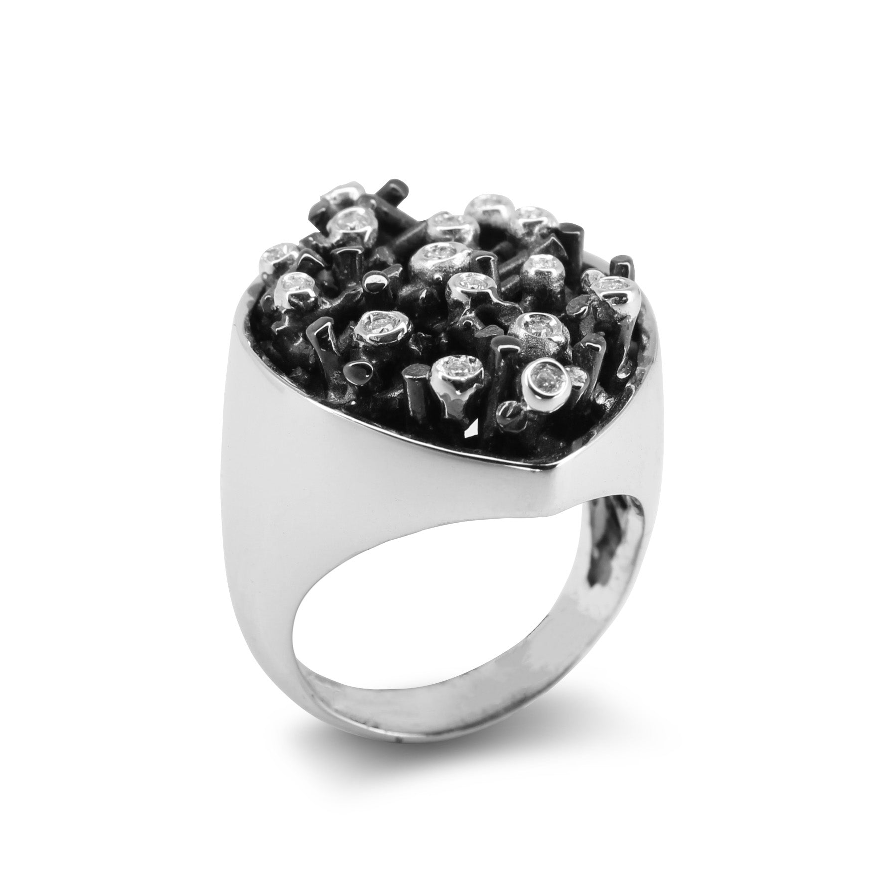Anello Moissaniti