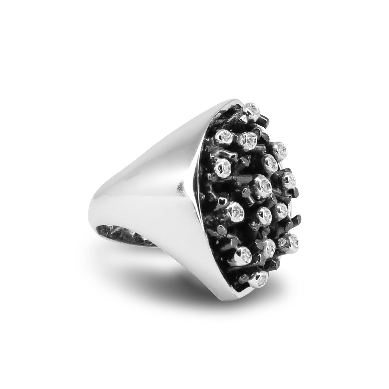 Anello Moissaniti